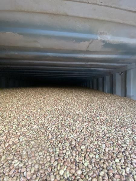 So sánh đậu tằm với các loại thức ăn thủy sản khác